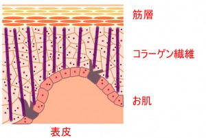 danmen01
