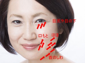 hari02